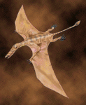 Imagine atasata: pterosaur.gif